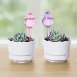 Set Tulipán Riega Fácil